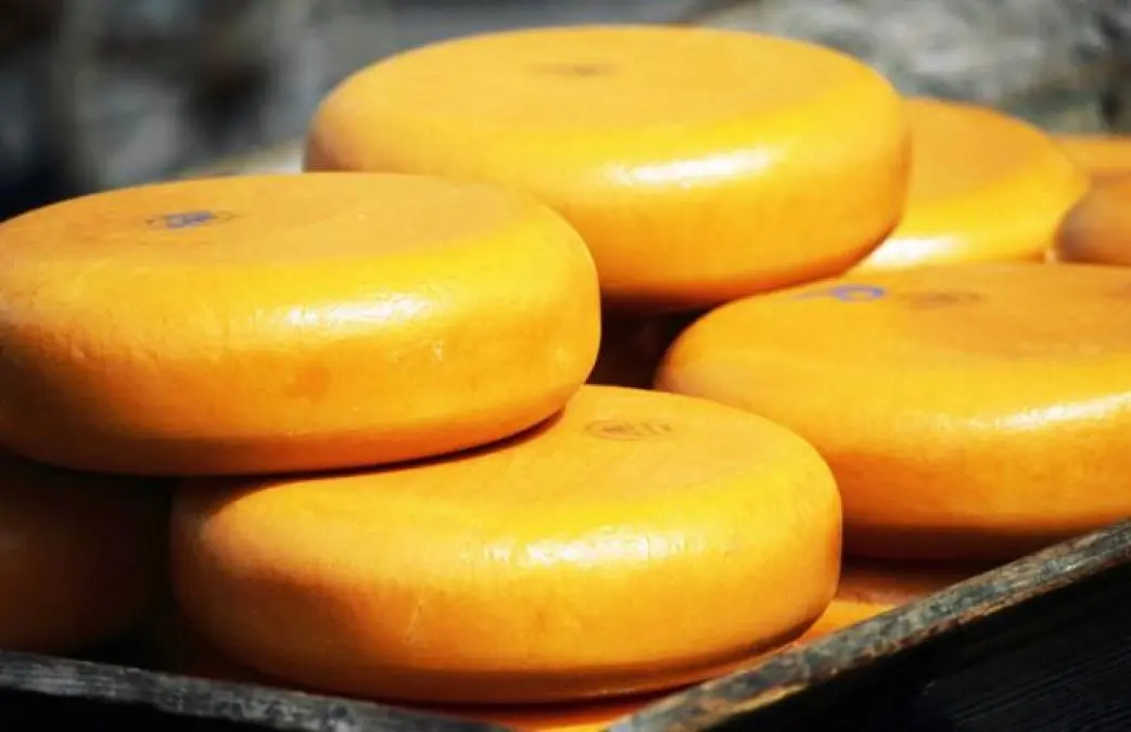 cuanto dura el queso manchego en el refrigerador - Cómo conservar un queso manchego curado