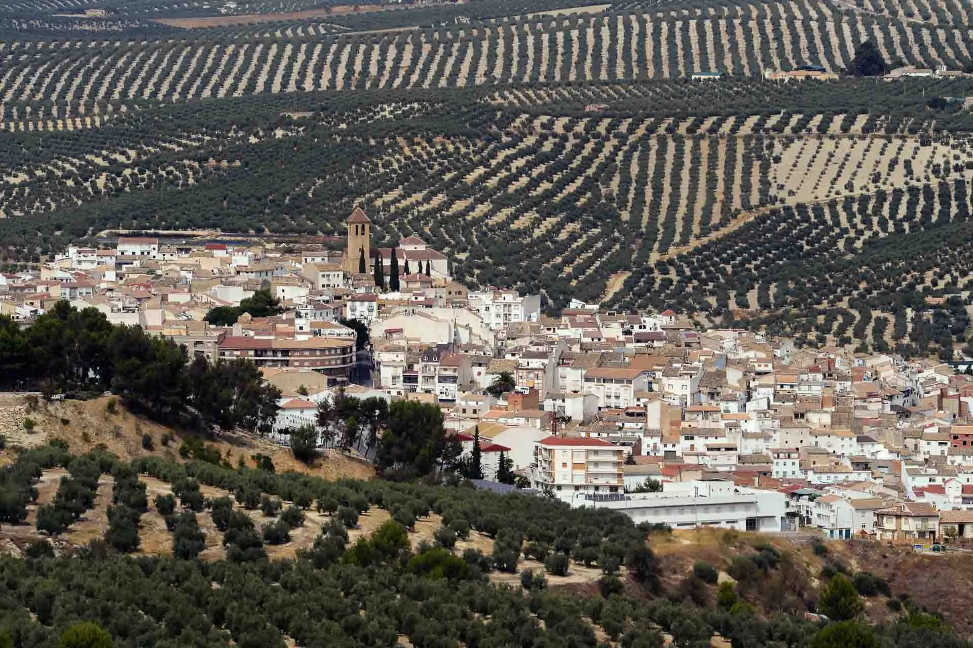 ayuntamiento de quesada telefono - Cómo contactar con el Ayuntamiento de Alicante