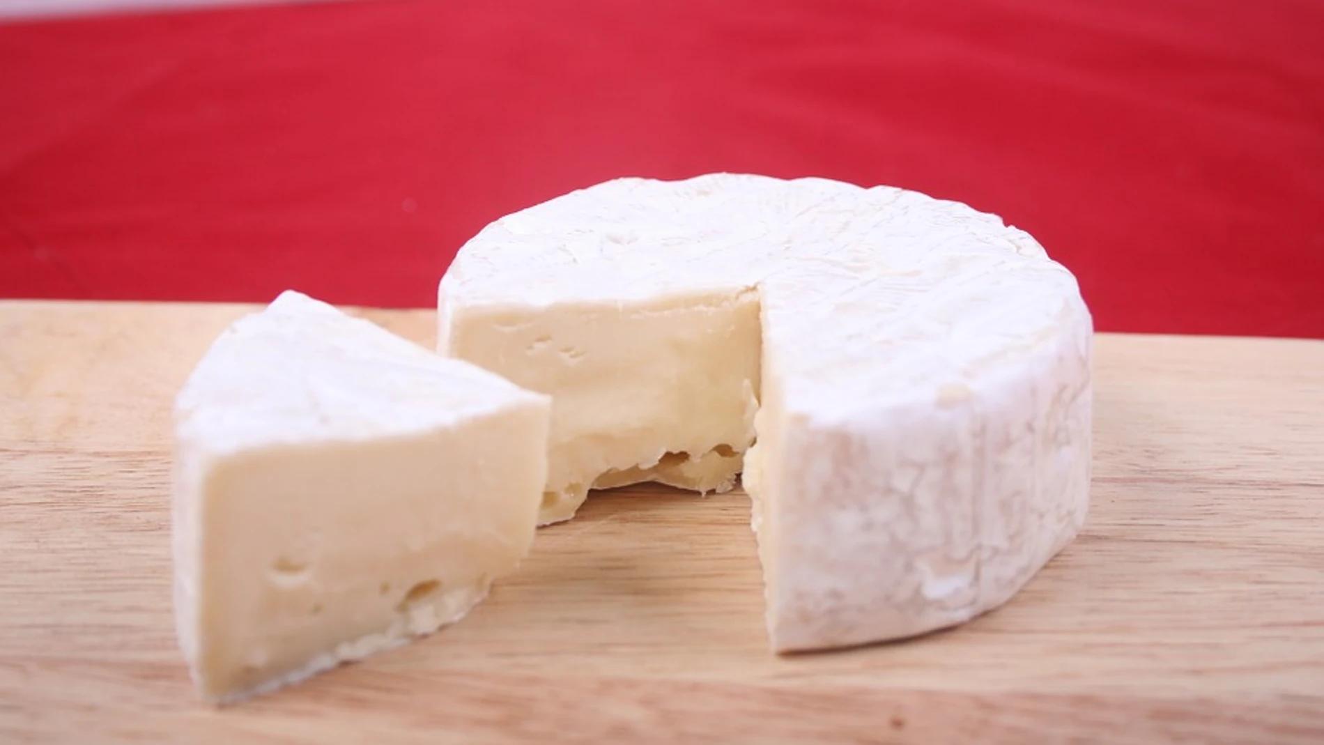 escherichia coli en quesos - Cómo eliminar la bacteria E. coli de los alimentos