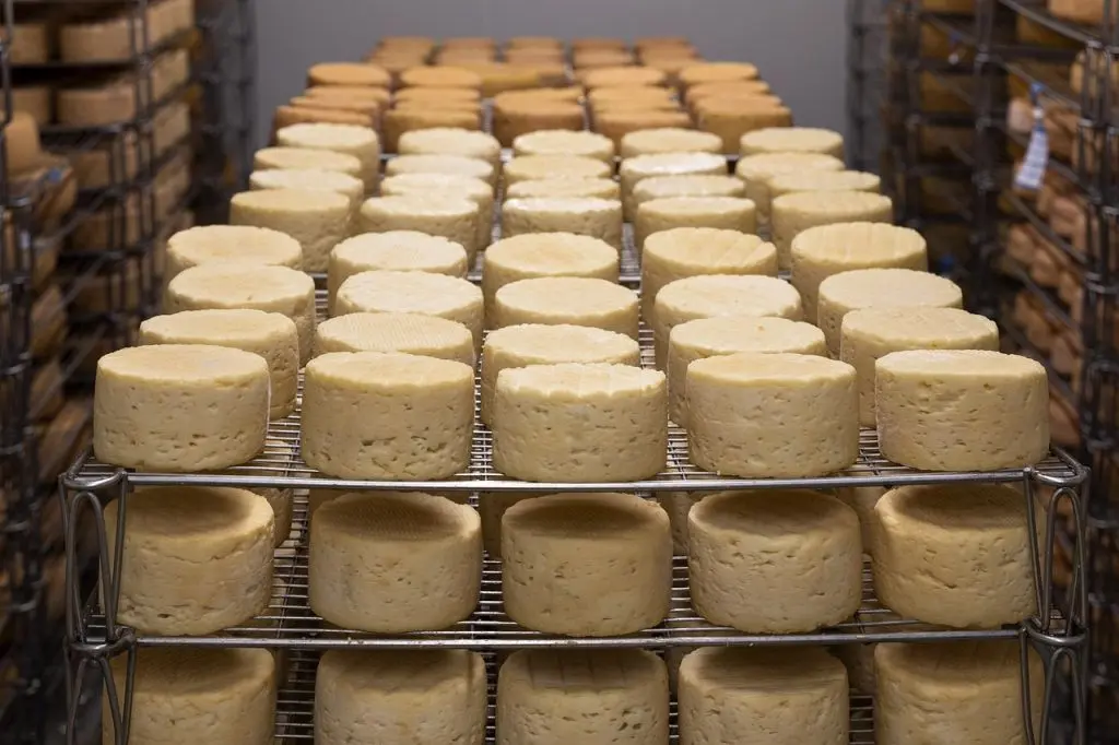 contaminacion en el almacenamiento en los quesos - Cómo evitar la contaminacion del queso
