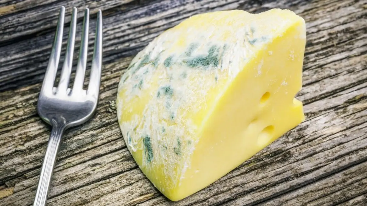 manchas blancas en el queso - Cómo saber si el queso tiene moho