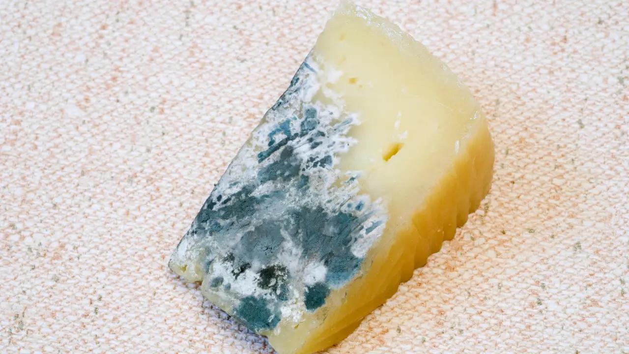 como limpiar el moho del queso - Cómo se desinfecta el queso