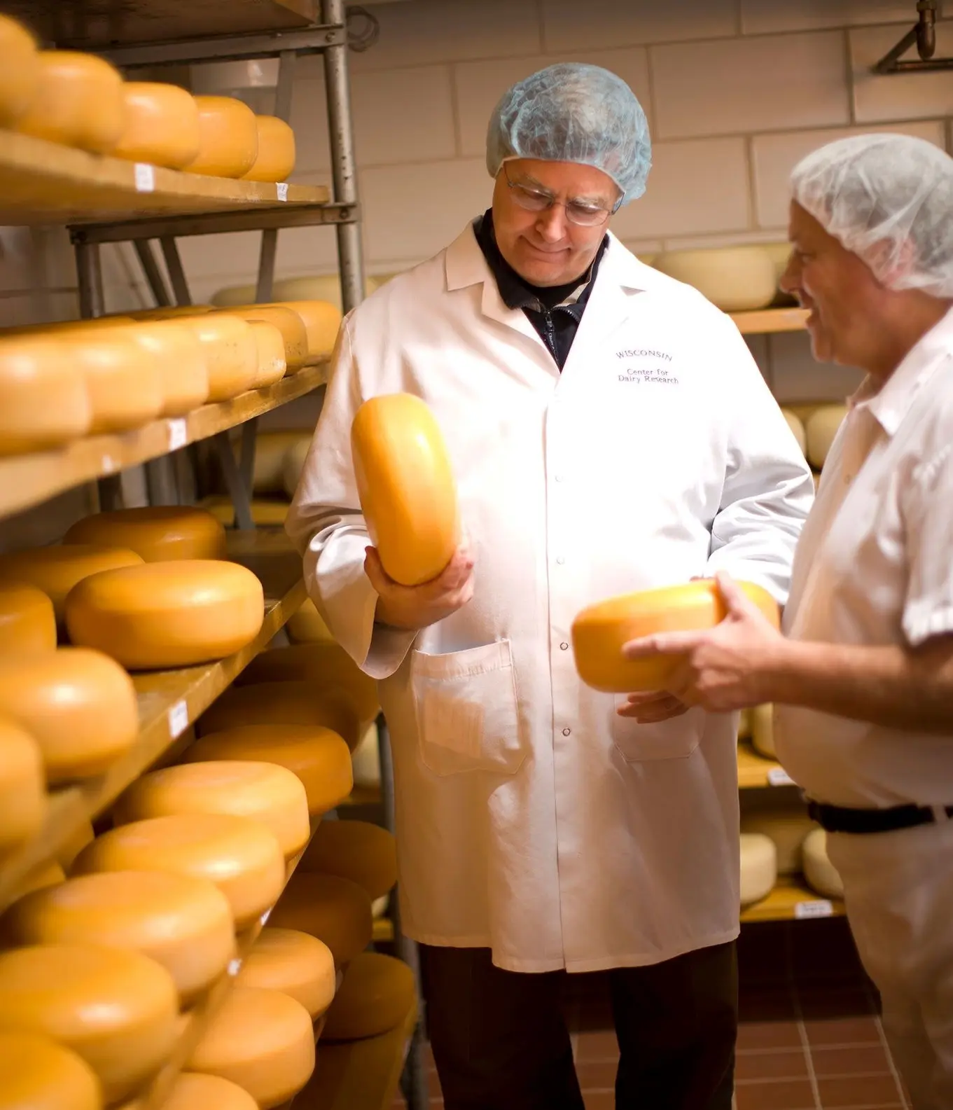 industria de quesos en colombia - Cómo se encuentra el sector lácteo en Colombia