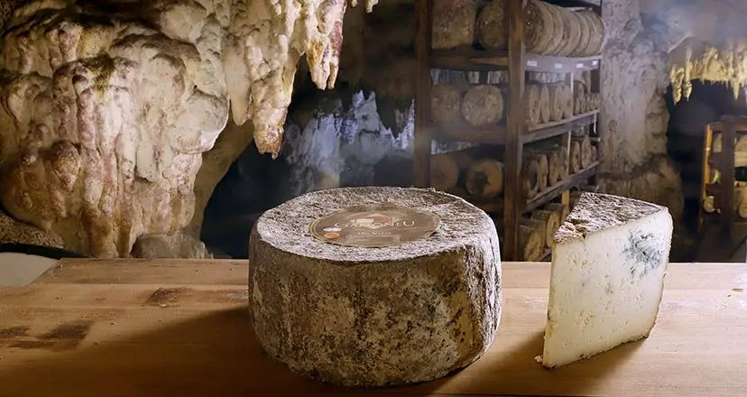 queso casin asturias - Cómo se llama el queso asturiano