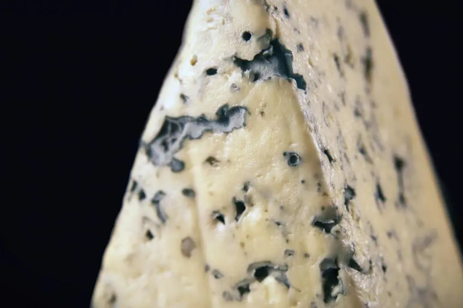 queso saint agur - Cómo se llama el queso azul en Francia