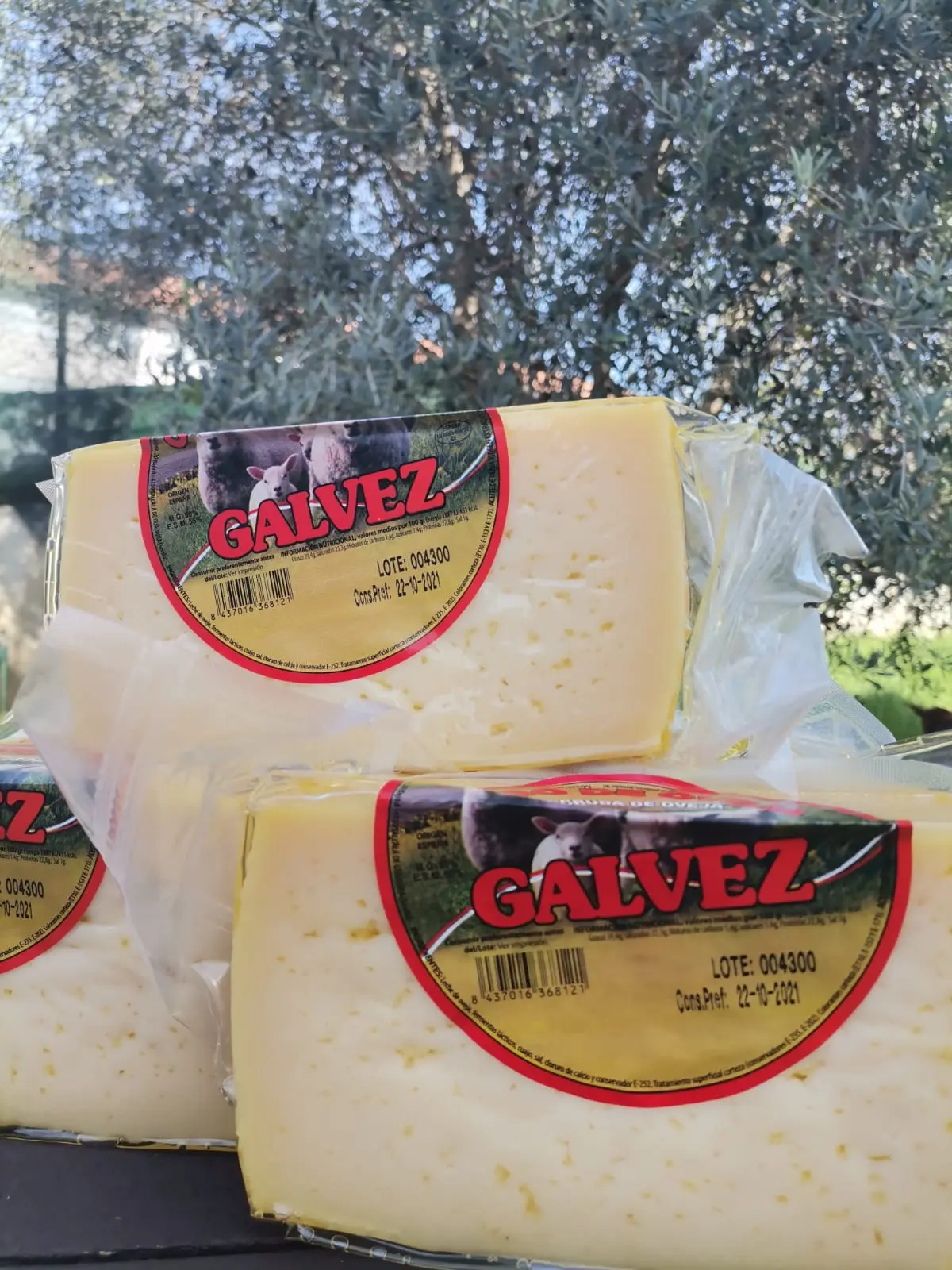 queso galvez - Cómo se llama el queso de Guerrero