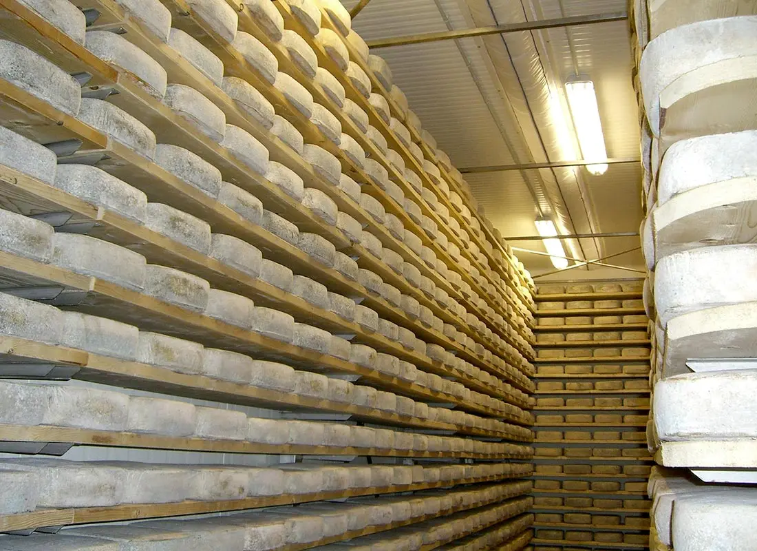 camaras de conservacion de quesos en queseria - Cómo se mantiene el queso Brie
