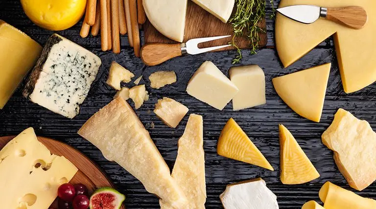 el queso es proteína - Cuál es el queso con más proteína