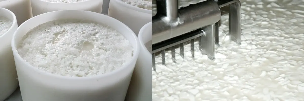 cantidad de sal para queso fresco - Cuál es la función de la sal en la elaboracion del queso