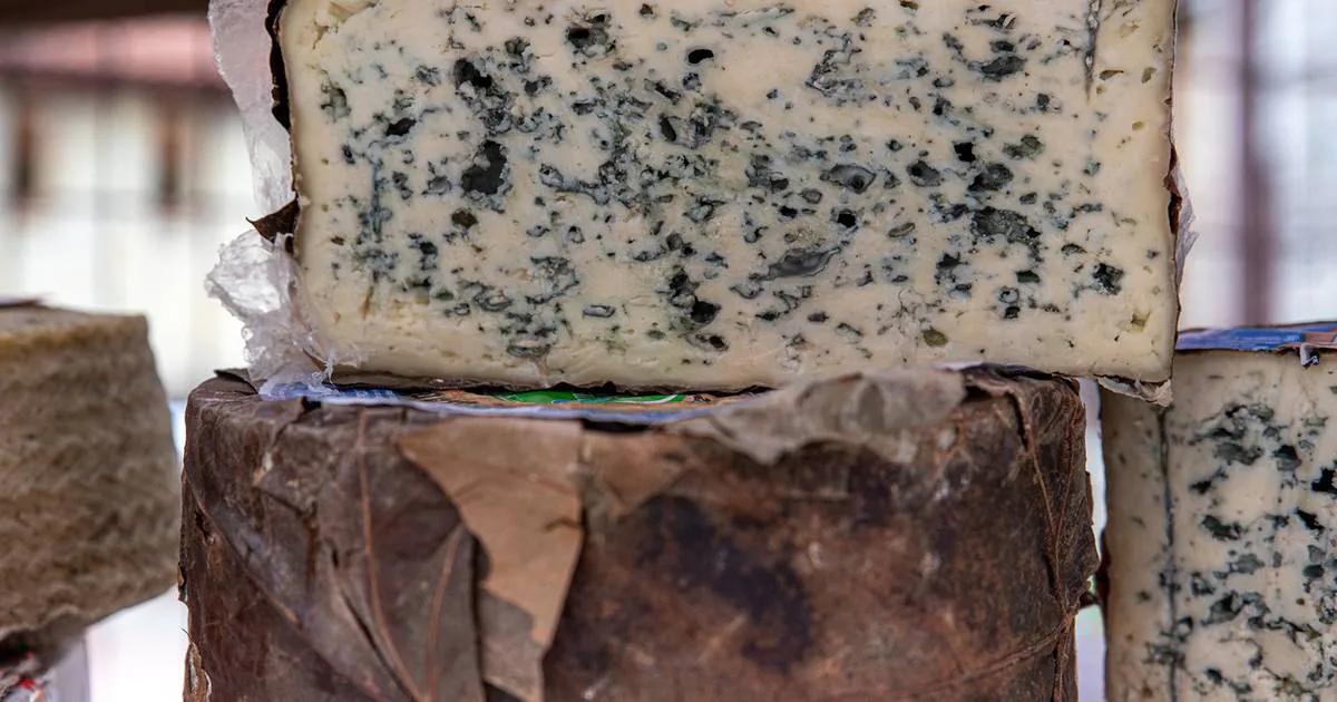 queso de burra - Cuánto cuesta un kilo de queso pule