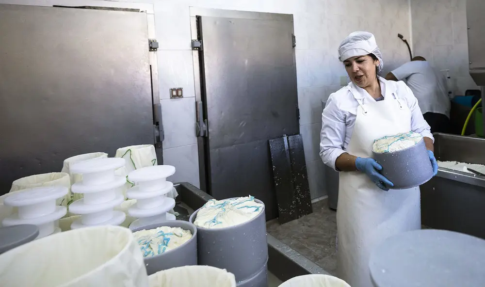 donde comprar queso mostelares en burgos - Cuánto pesa una tarrina de queso de Burgos