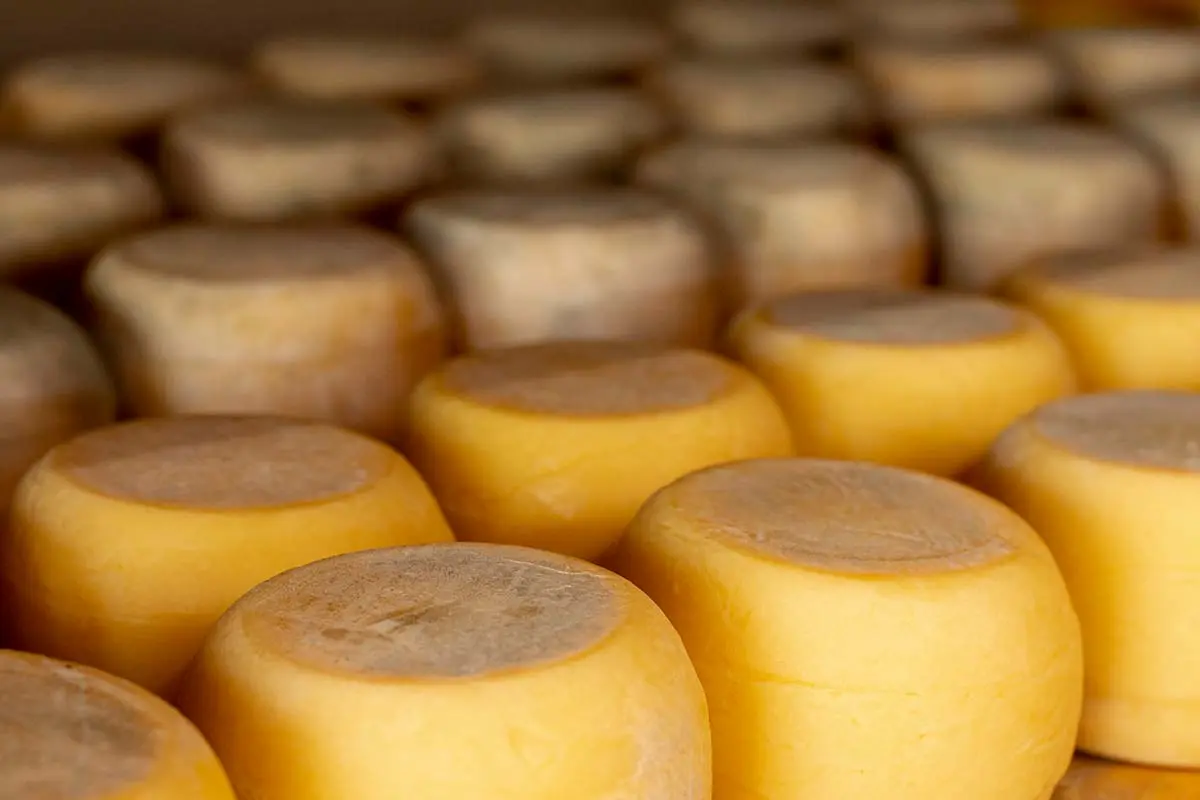 La mejor manera de guardar el queso para que dure más tiempo en la nevera  (y conserve su sabor)