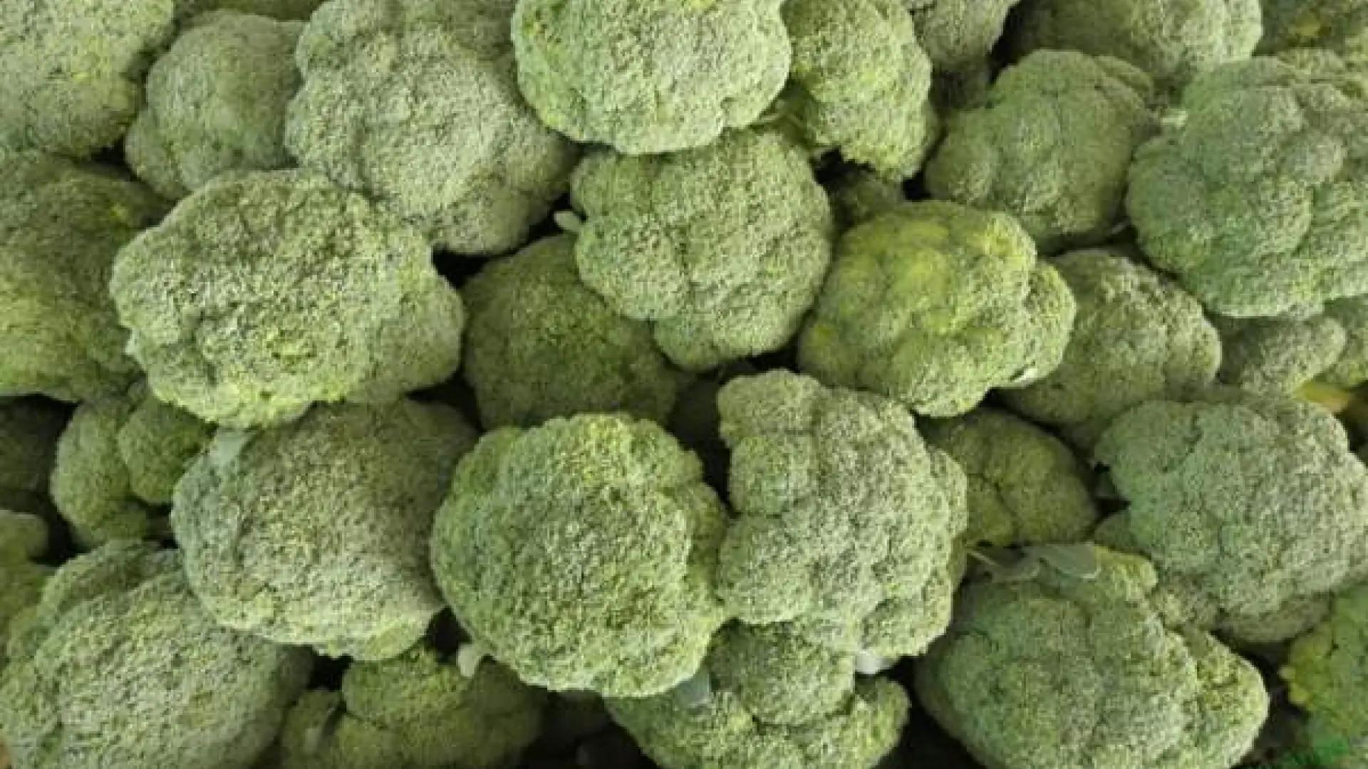 brocoli con patatas y queso - Cuánto tiempo hay que cocer el brócoli congelado