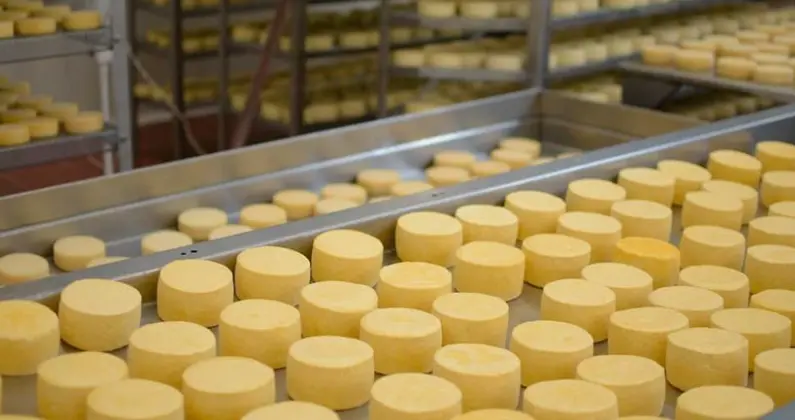 importador de quesos en peru - Dónde se produce el queso en Ecuador