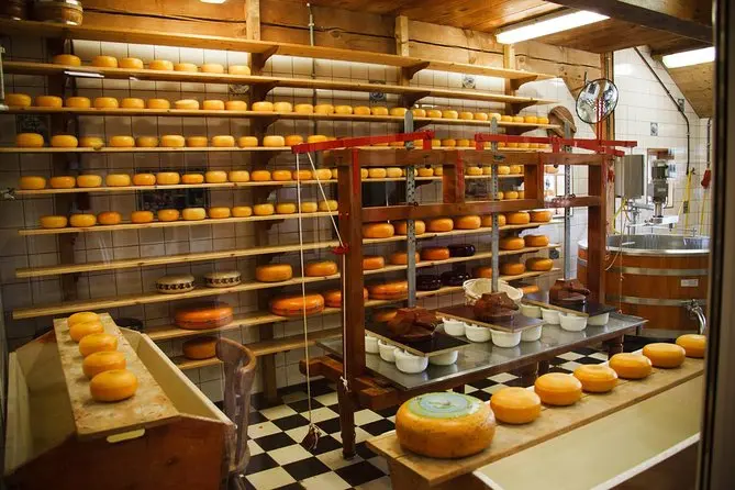 pueblo de los quesos amsterdam - Dónde ver los molinos de Holanda