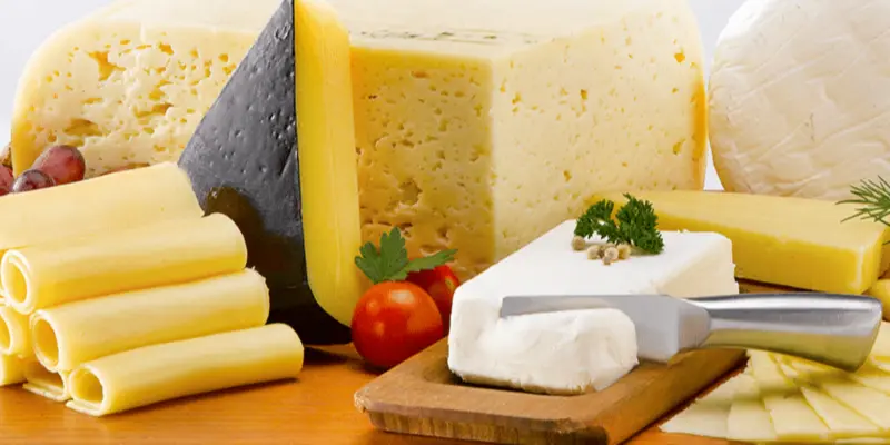 bacterias en quesos - Qué alimentos son producidos por bacterias