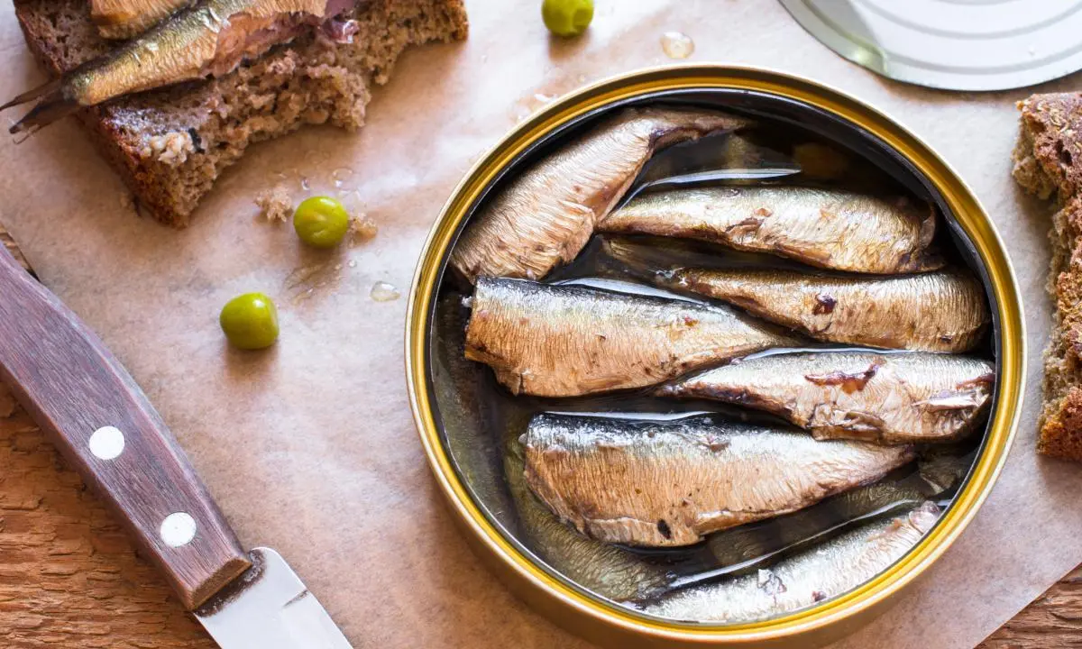 bocadillo de sardinas con queso - Qué beneficios tiene la sardina en lata