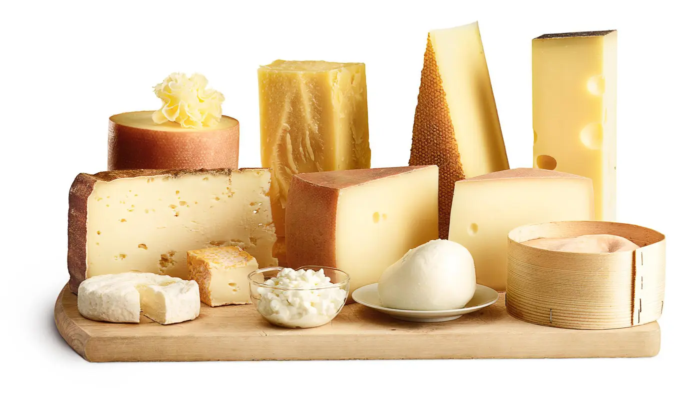 alpes suizos quesos - Qué caracteriza al queso Appenzeller