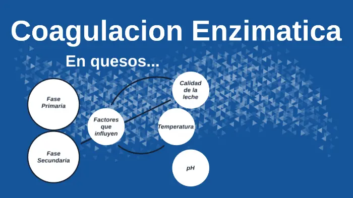 coagulacion enzimatica del queso - Qué enzimas intervienen en el proceso de la coagulación de la leche para elaborar el queso