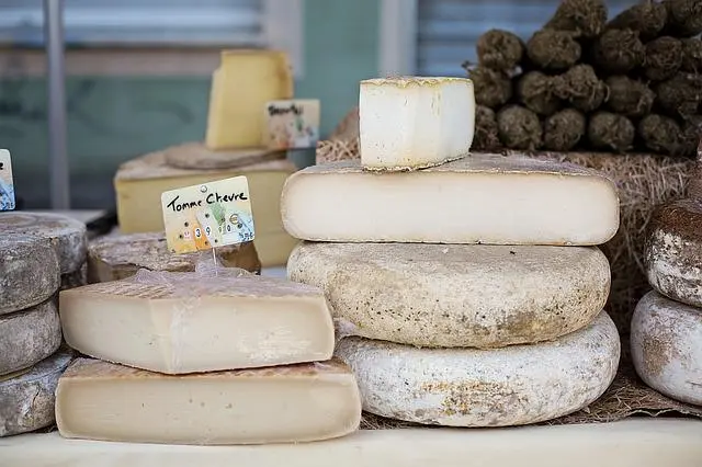 quesos ecologicos beneficios - Qué es el queso orgánico