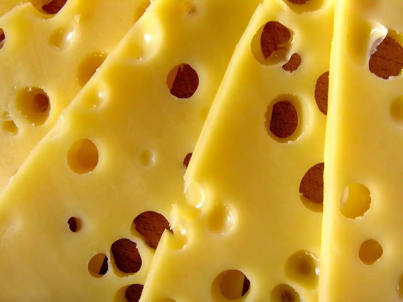 definicion de queso - Qué es el queso según la OMS