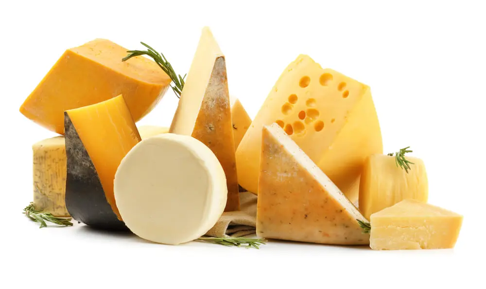 como se classifican los quesos fao - Qué es leche según la FAO