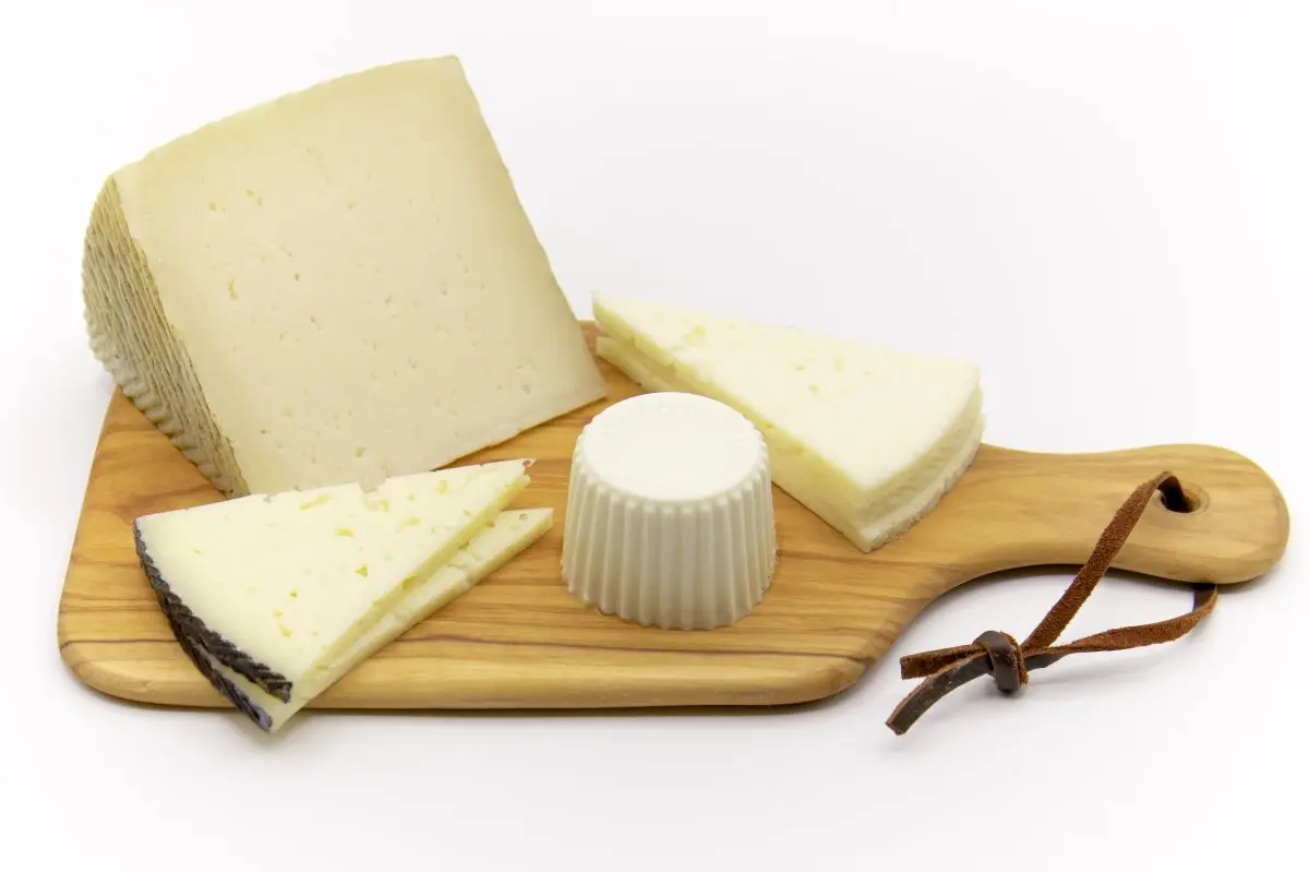 queso tierno - Qué es mejor queso tierno o curado
