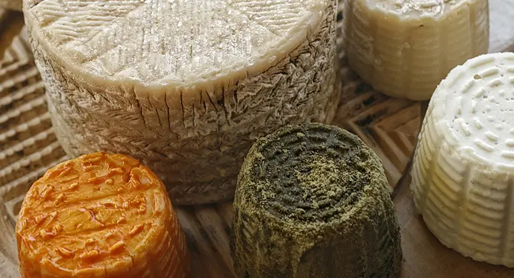 queso ecologico - Qué es un queso ecológico