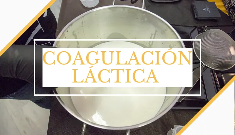 coagulacion acida en quesos - Qué influencia tiene el pH y la acidez en la coagulación de la leche