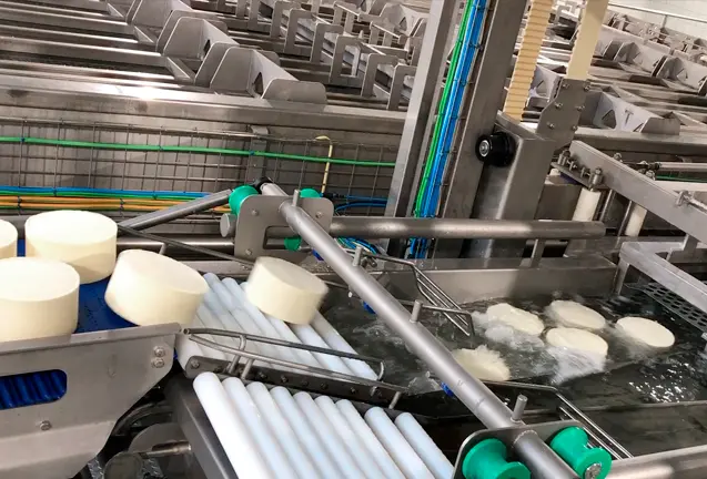 filtracion de salmuera de salado de quesos - Que le agregan al queso
