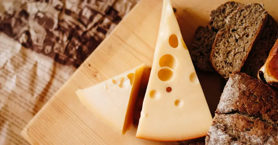 agentes biológicos para la elbaoracon de quesos - Qué microorganismos se utilizan para la elaboracion del queso
