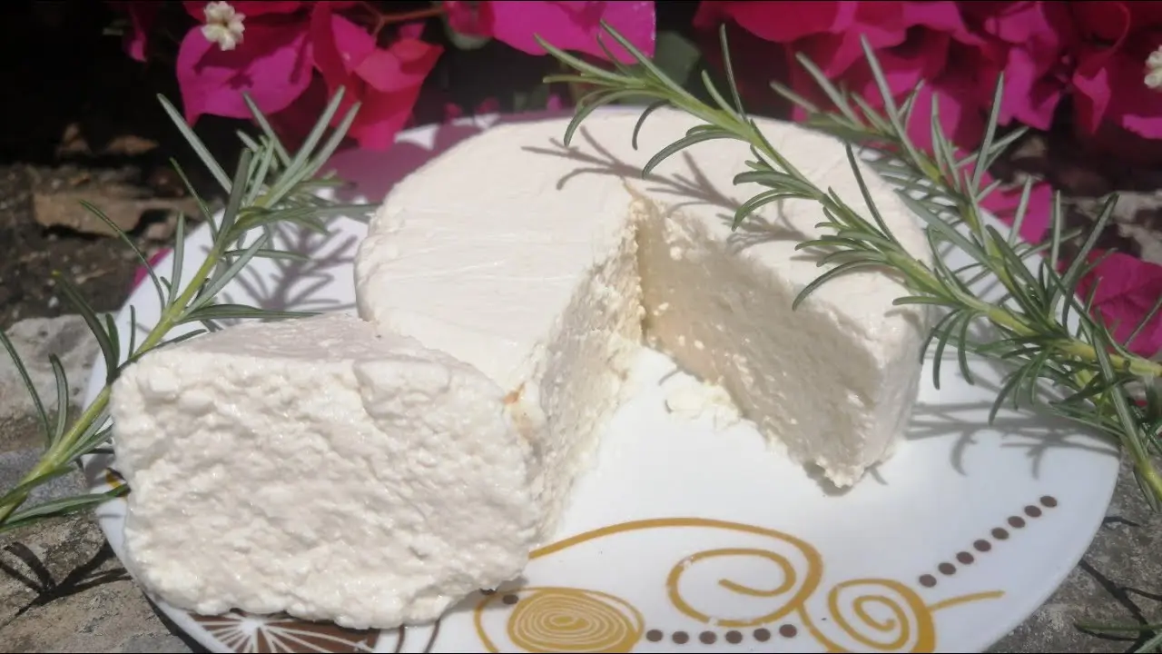 el queso es leche podrida - Qué pasa con la leche cuando se hace queso