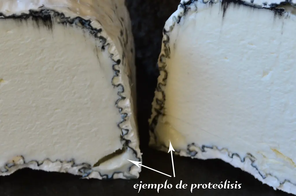 proteolisis queso - Qué proceso químico tiene el queso