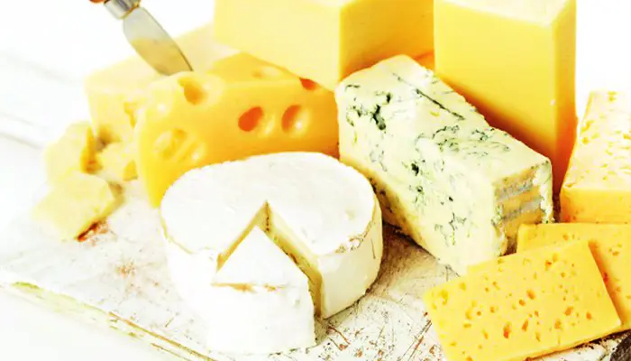 en que quesos se encuentra la vitamina d - Qué queso tiene más vitamina D