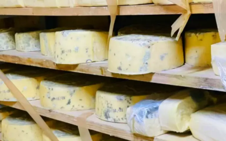 contaminacion en el almacenamiento en los quesos - Qué residuos genera el queso