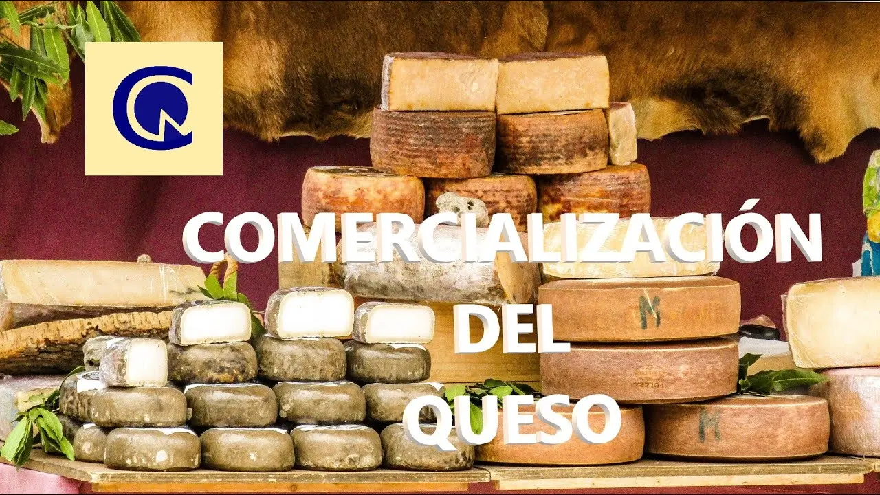 comercializar quesos - Qué se hace en una quesería