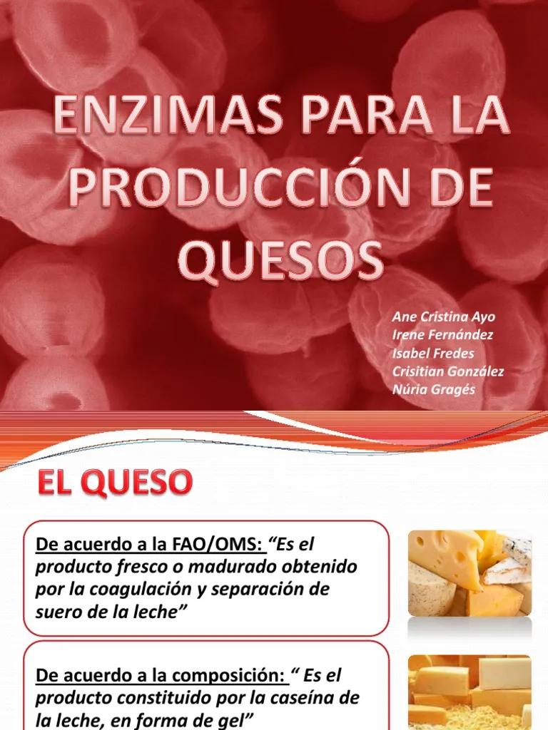 enzimas produccion quesos - Qué son enzimas lacteas