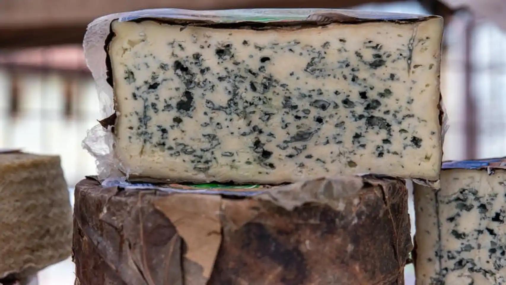 manchas de colores en quesos madurados - Qué son las manchas del queso azul