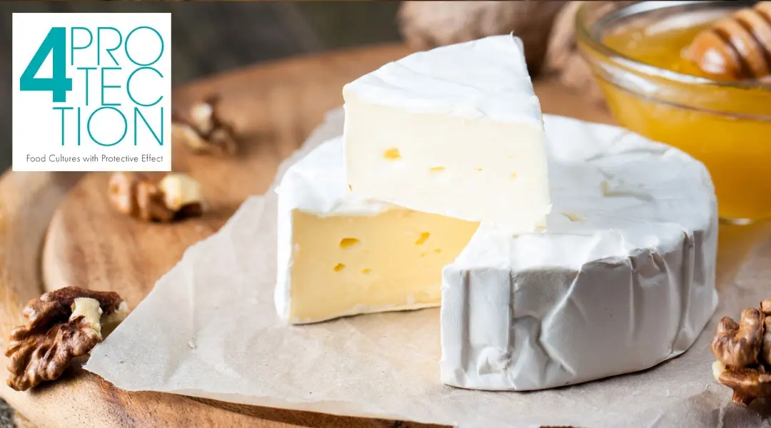 quesos de pasta blanda industria alimentaria - Qué son los quesos de pasta semidura