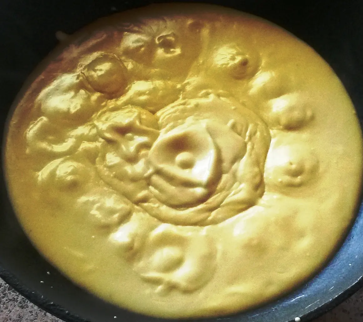 salsa de queso gouda - Que tiene el queso gouda
