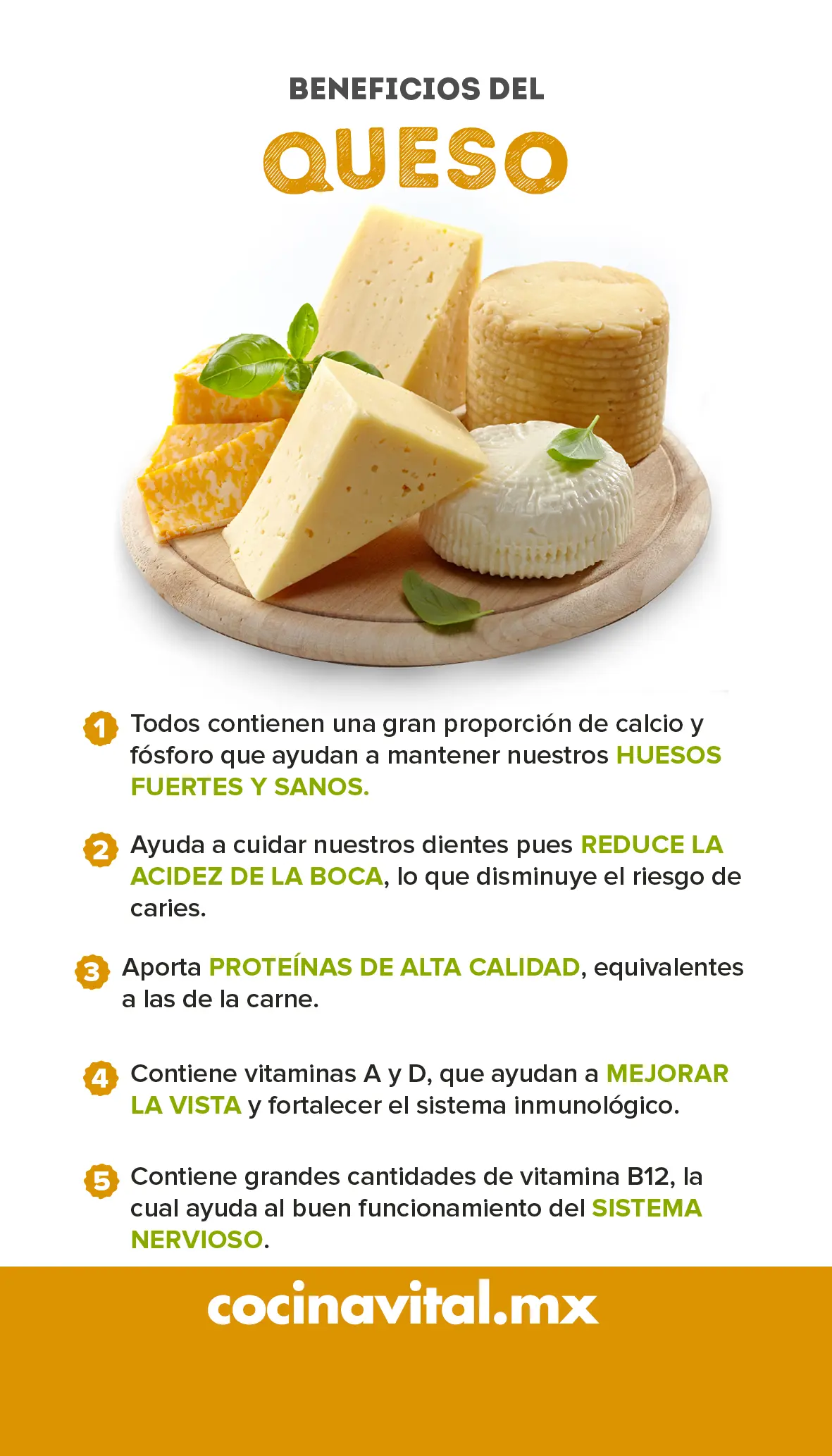 nutrientes del queso - Qué tipo de proteína es el queso