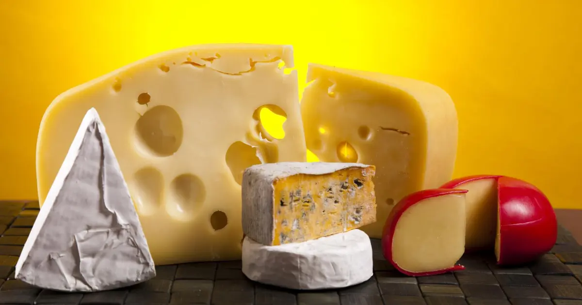 queso menos graso - Qué tipo de queso es bueno para dieta