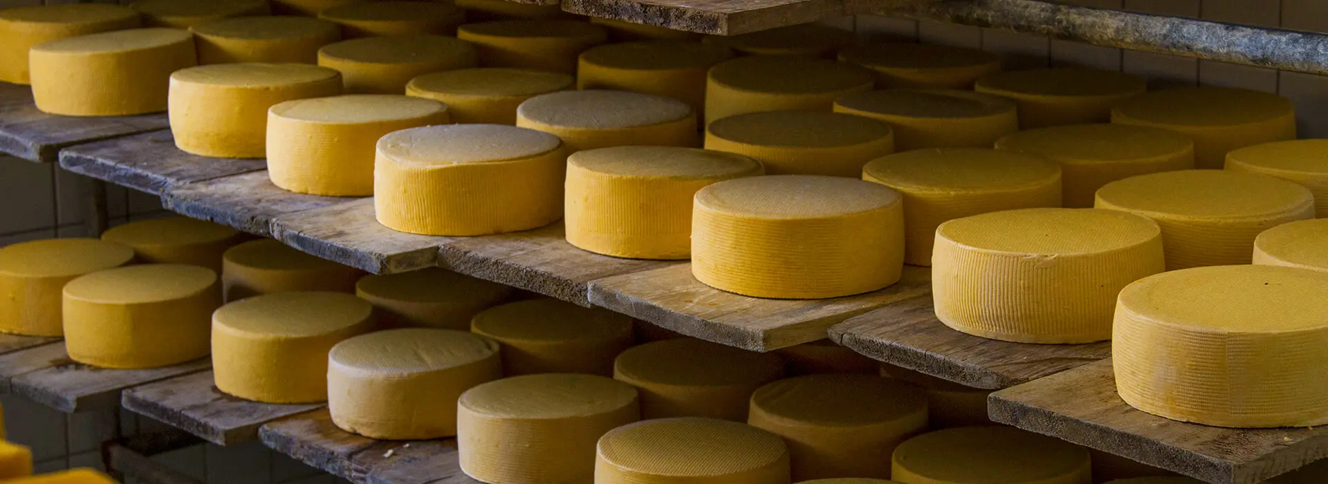 quesos de guaranda - Qué tipo de queso es el más reconocido de Salinas de Guaranda